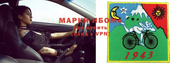 соль ск Инсар