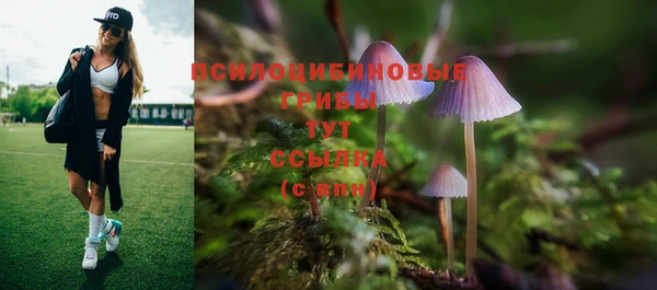 соль ск Инсар