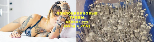 гидропоника Инта