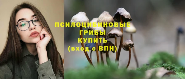 гидропоника Инта
