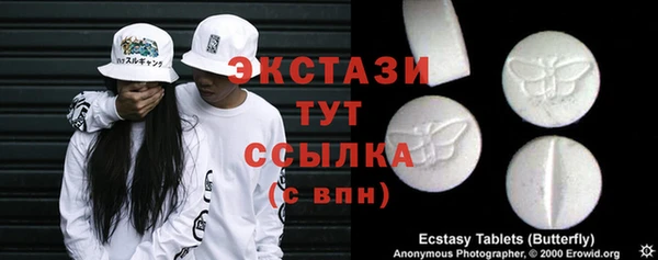 соль ск Инсар