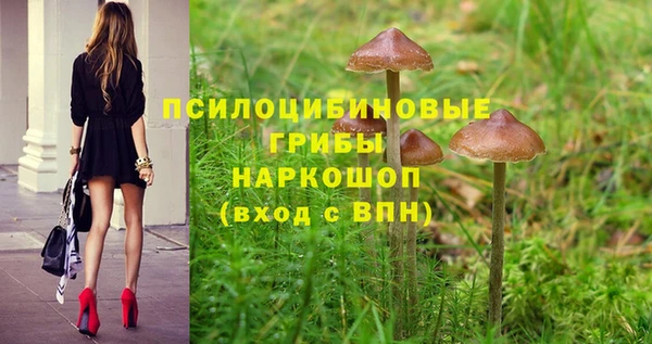 спайс Иннополис