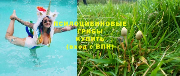 гидропоника Инта