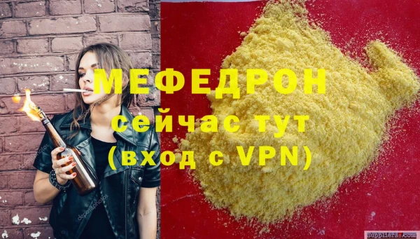 соль ск Инсар