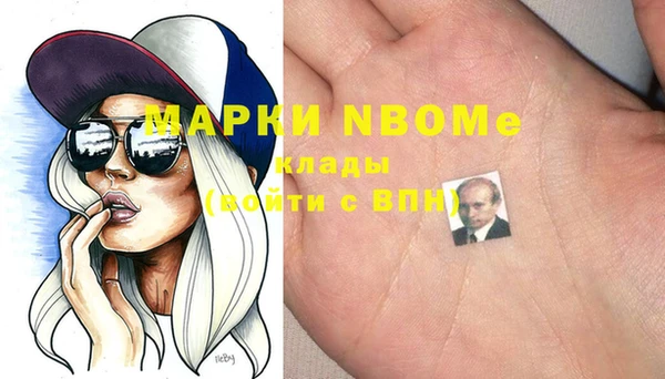 соль ск Инсар