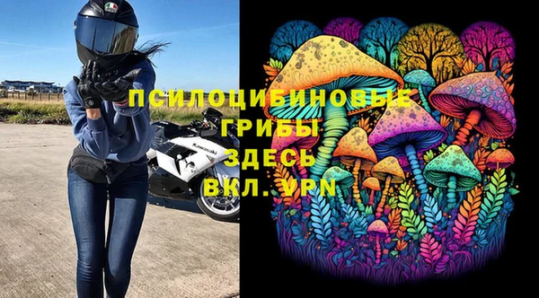 соль ск Инсар