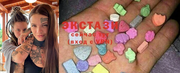 соль ск Инсар