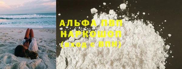 соль ск Инсар