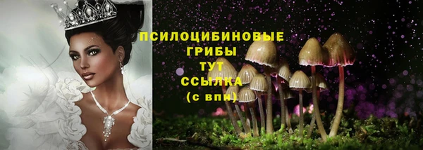 гидропоника Инта