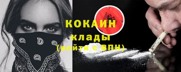 соль ск Инсар